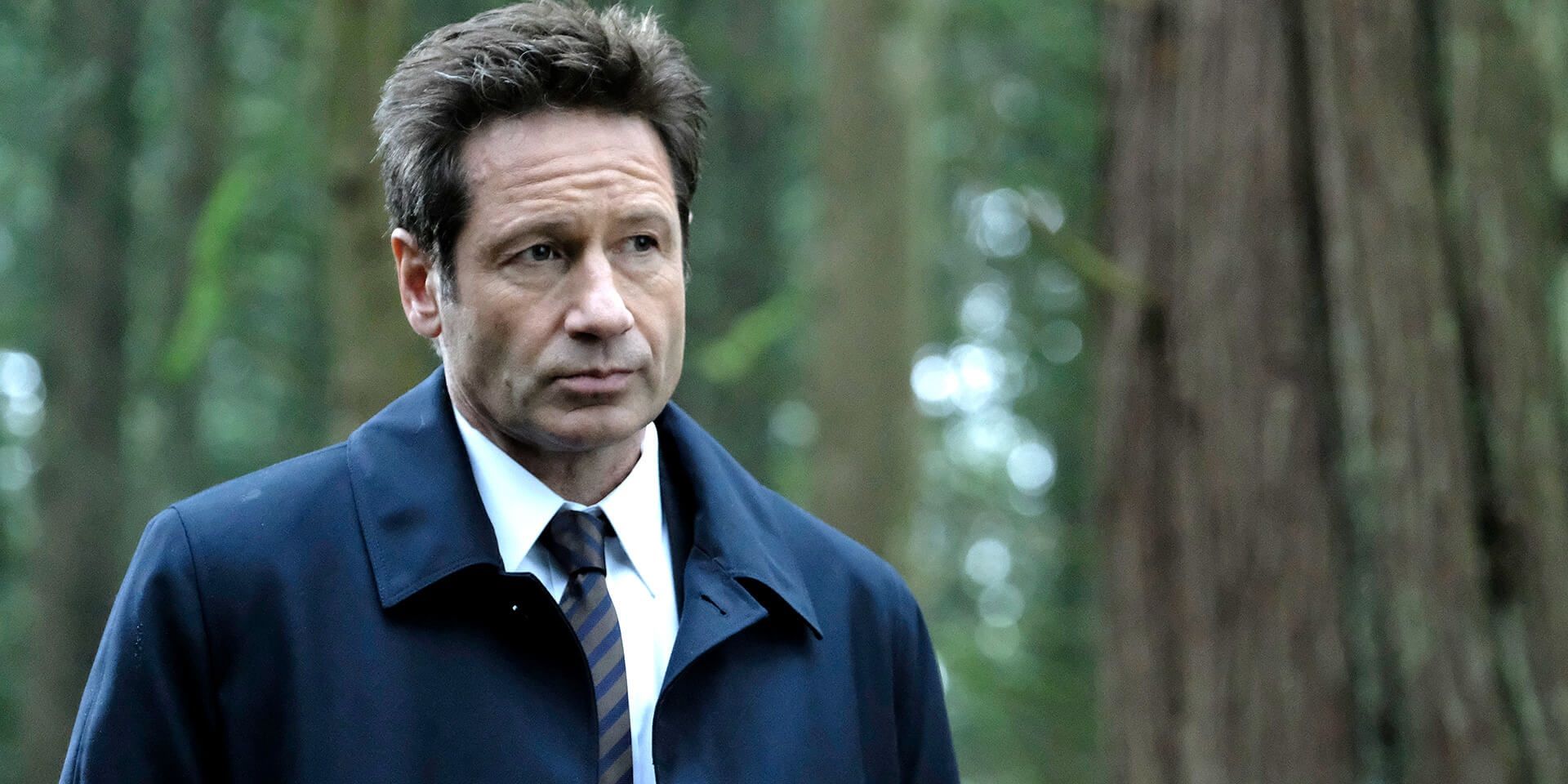 David Duchovny in The X-Files