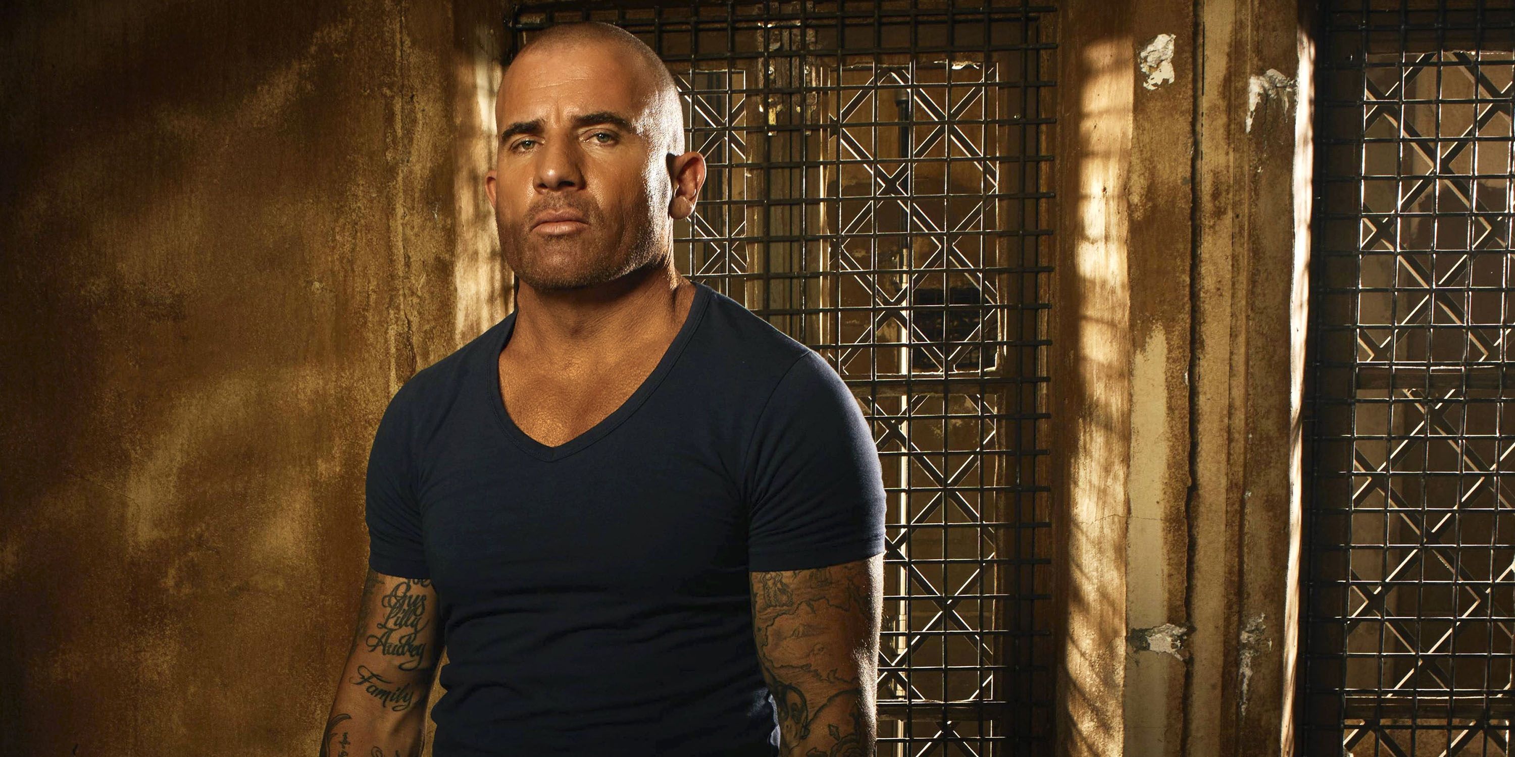 Dominic Purcell in Prison Break