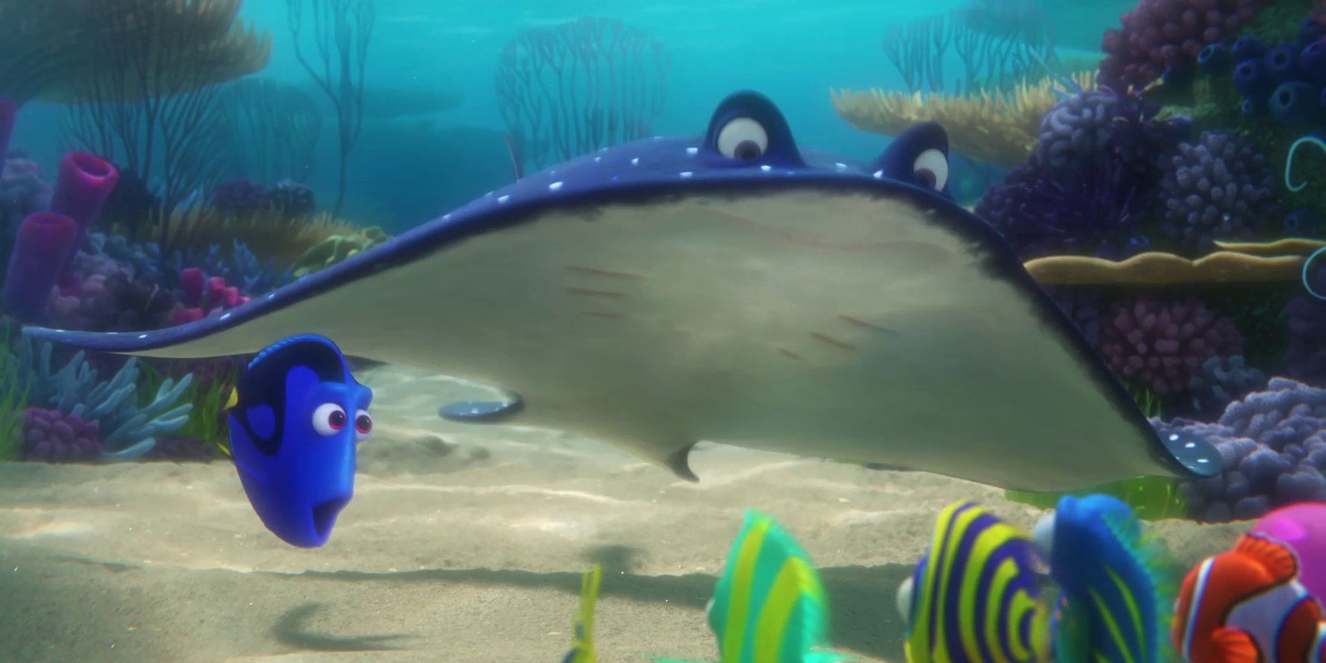 Dory and Mr Ray in Finding Dory