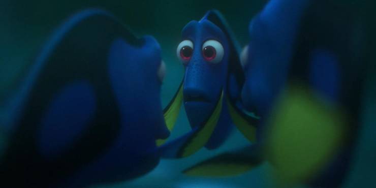 Finding dory