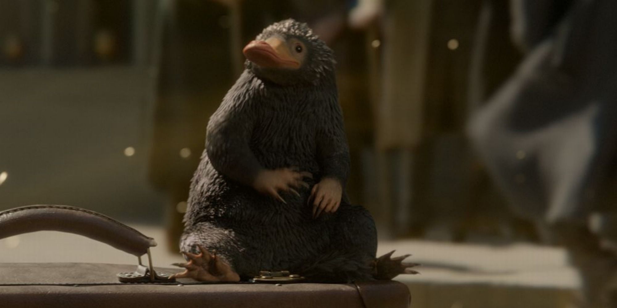 A screenshot of a Niffler being summoned by Newt Scamander to track down Tina Goldstein in Fantastic Beasts: The Crimes of Grindelwald