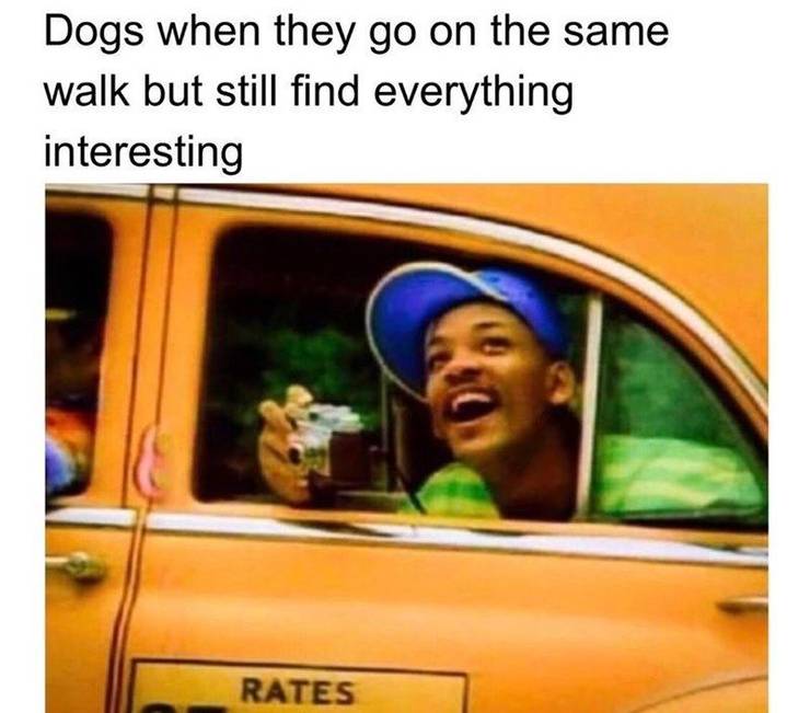 10 Fresh Prince Of Bel Air Memes That Are Too Hilarious For Words 10 Fresh Prince Of Bel Air Memes That Are Too Hilarious For Words