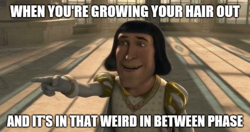 Shrek Top 10 Hilarious Lord Farquaad Memes