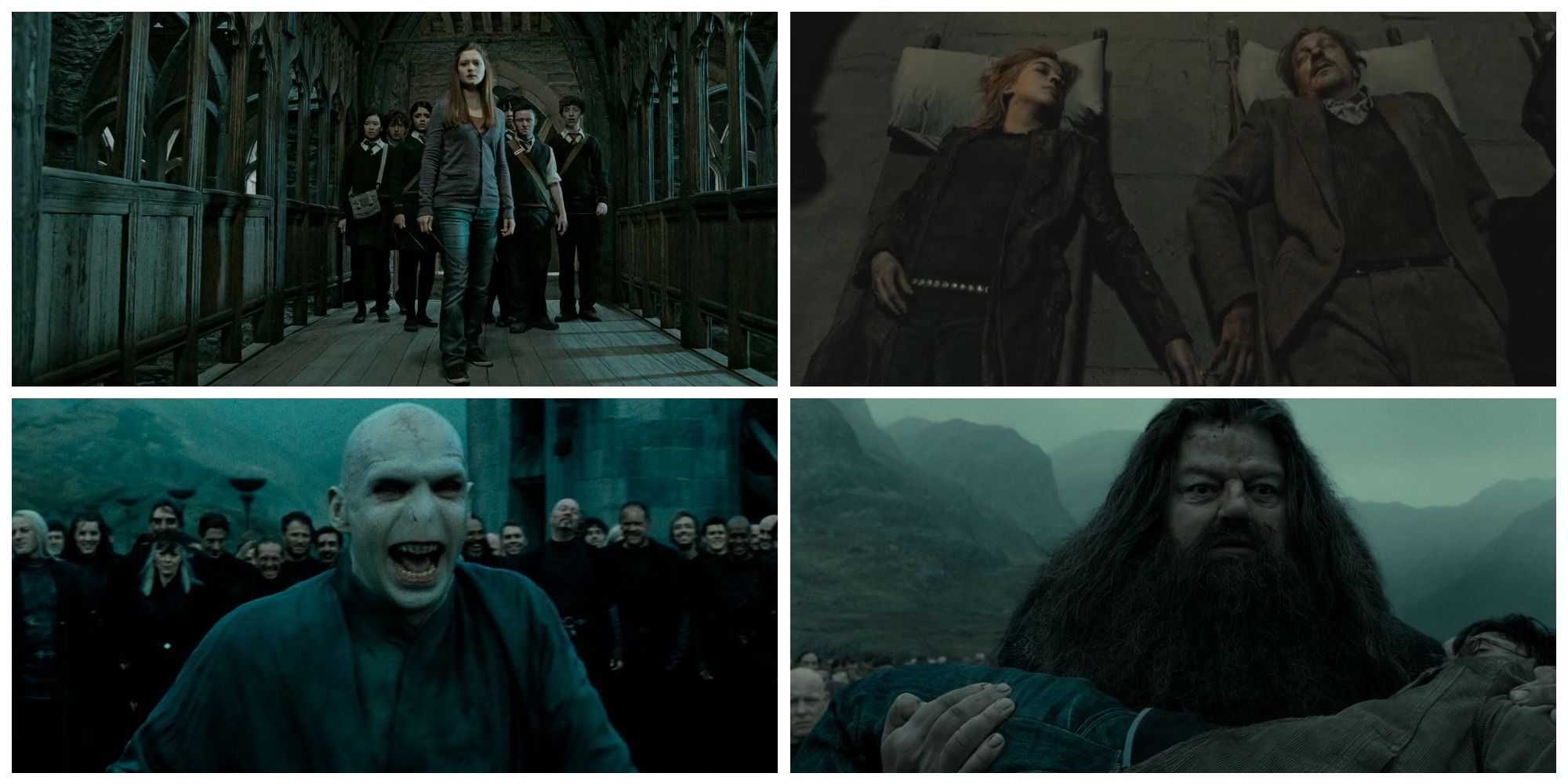 Memebase - Harry Potter And the Deathly Hallows Part 2 - All Your