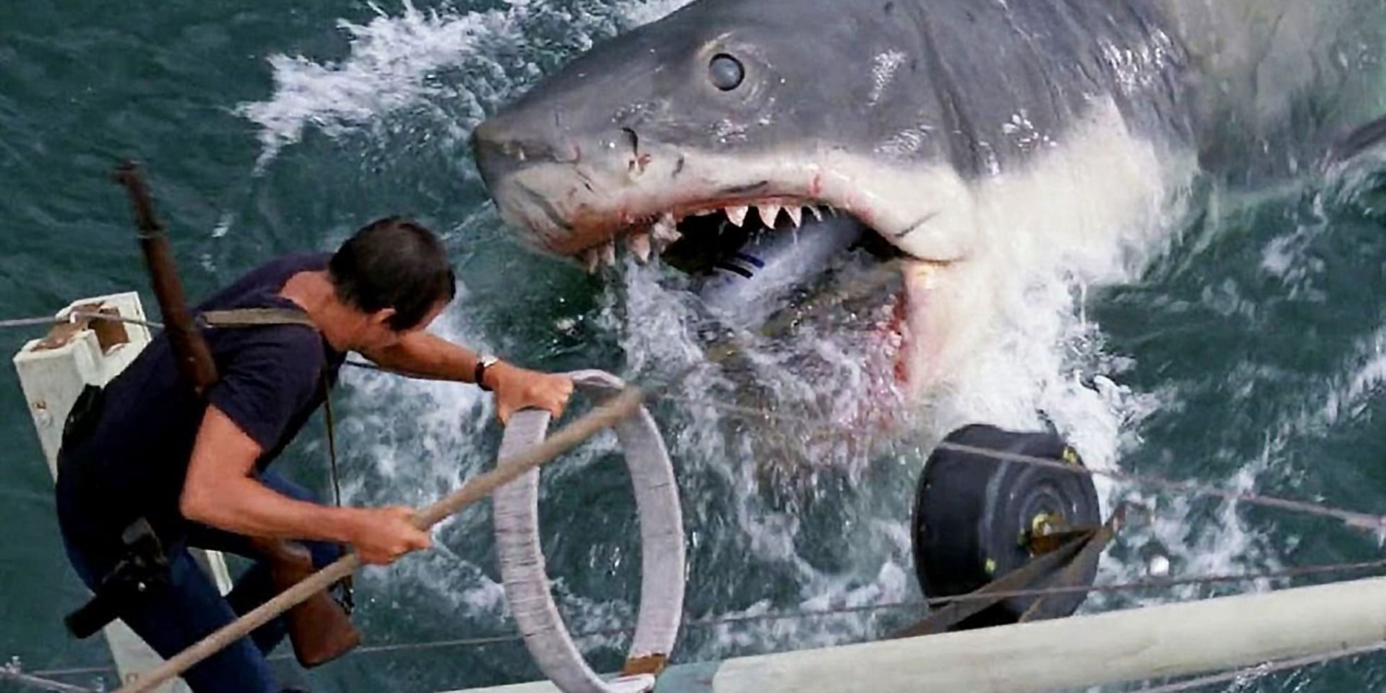 A screenshot of Chief Martin Brody fending off the great white shark in Jaws