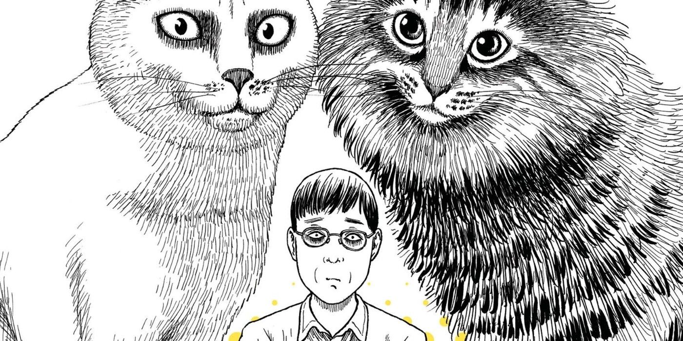 Manga Review- The Works of Junji Ito – The Cat with a Book