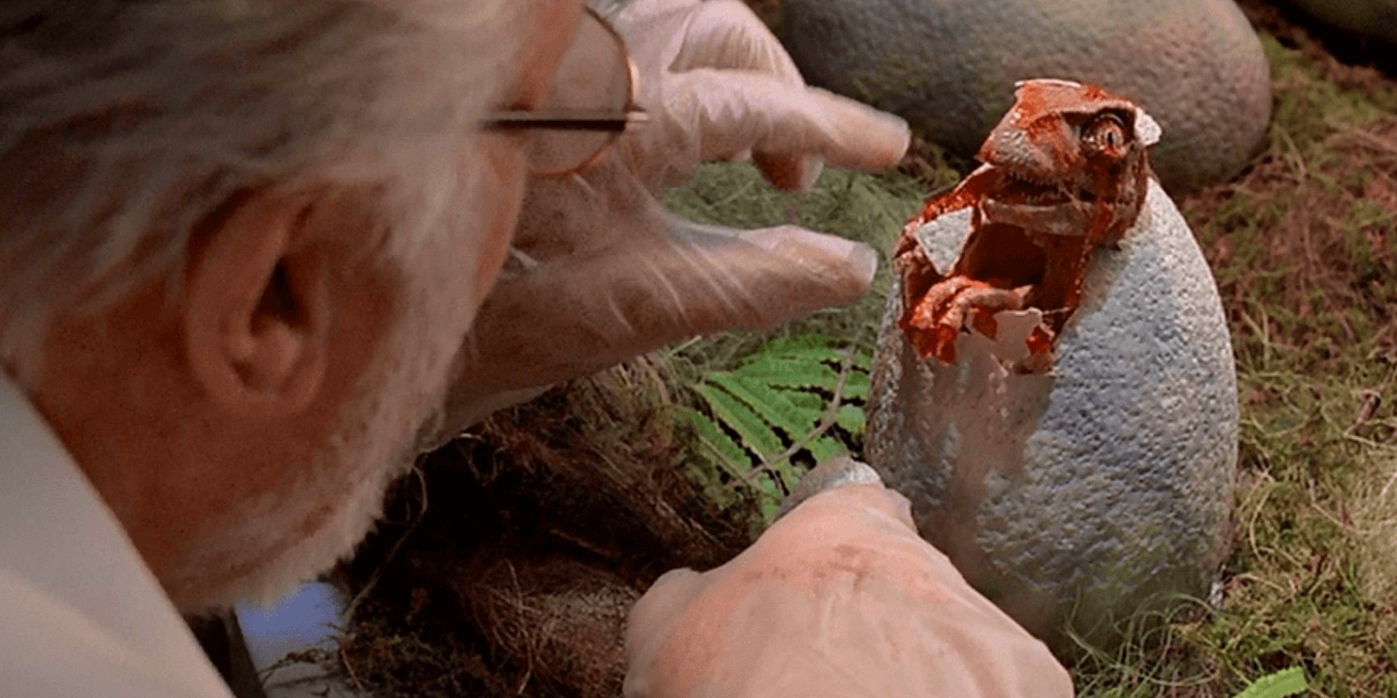 A velociraptor hatching in the first Jurassic Park movie.