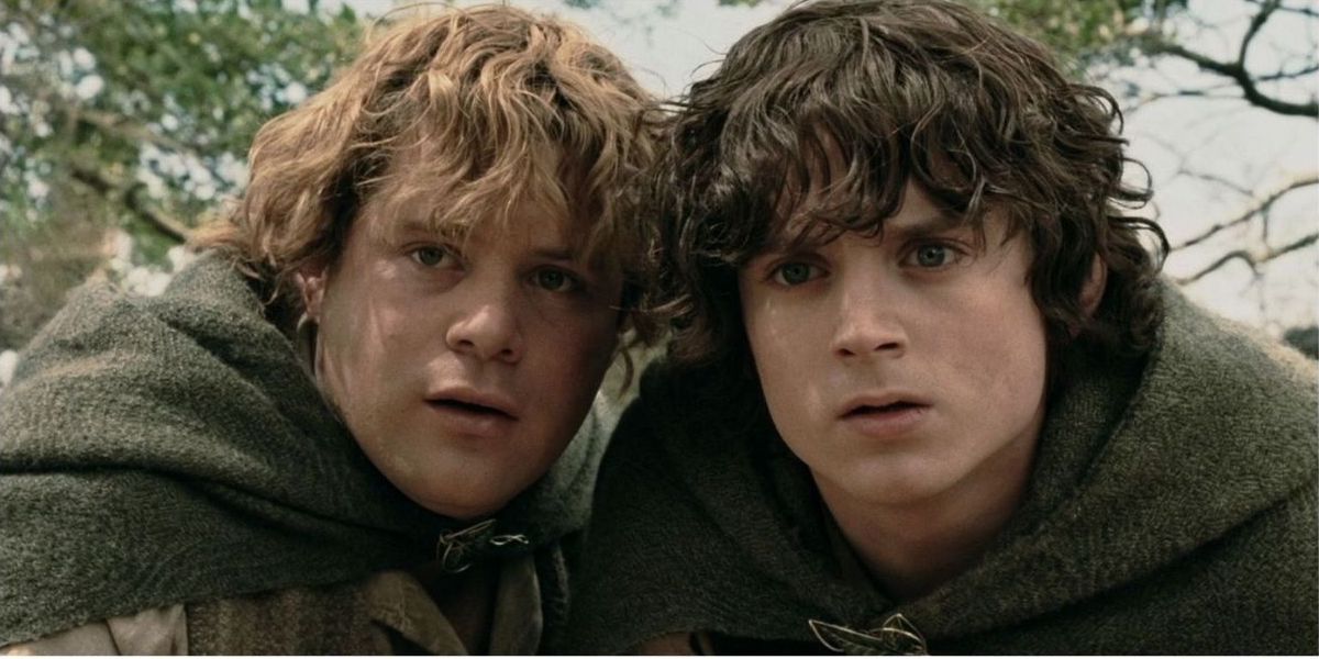 Sam and Frodo look at something from the distance