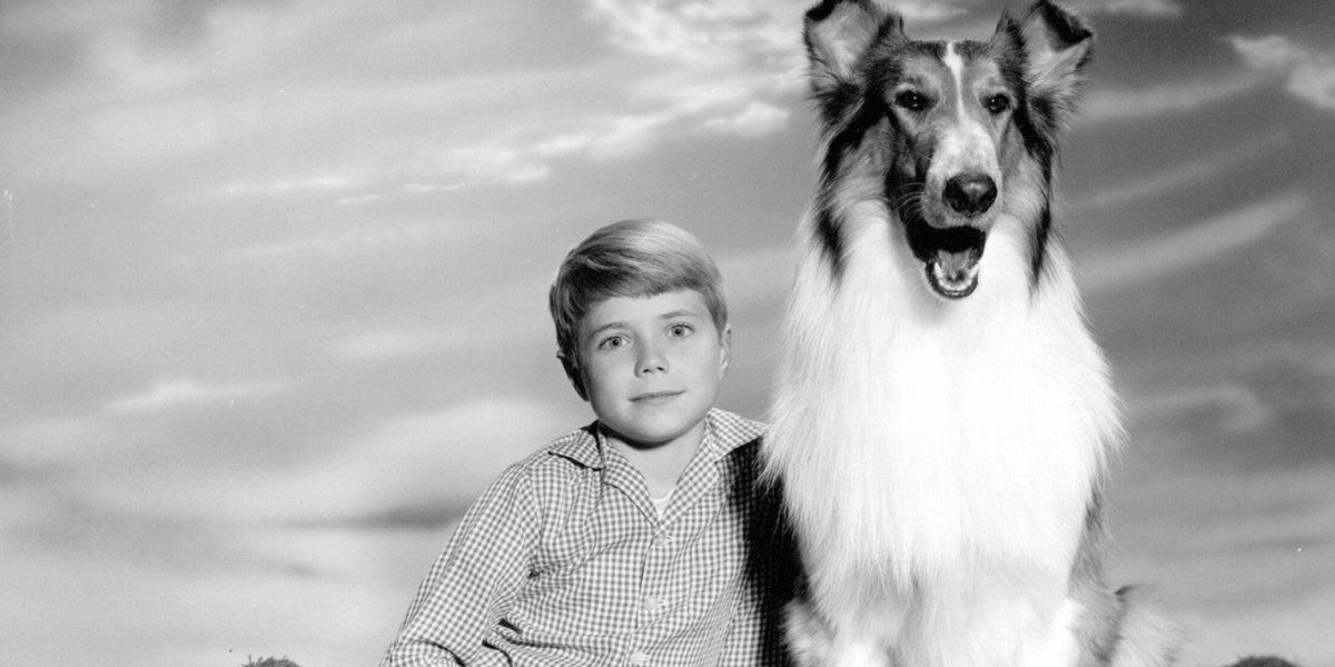 Jeff e Lassie do programa de TV Lassie