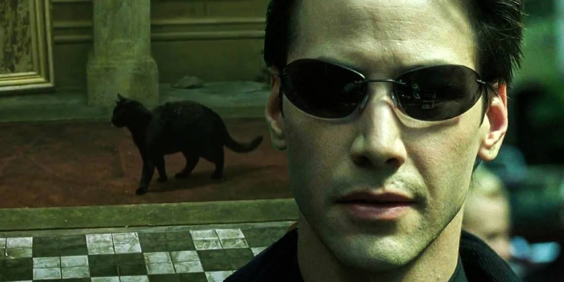 The Black Cat in “The Matrix”