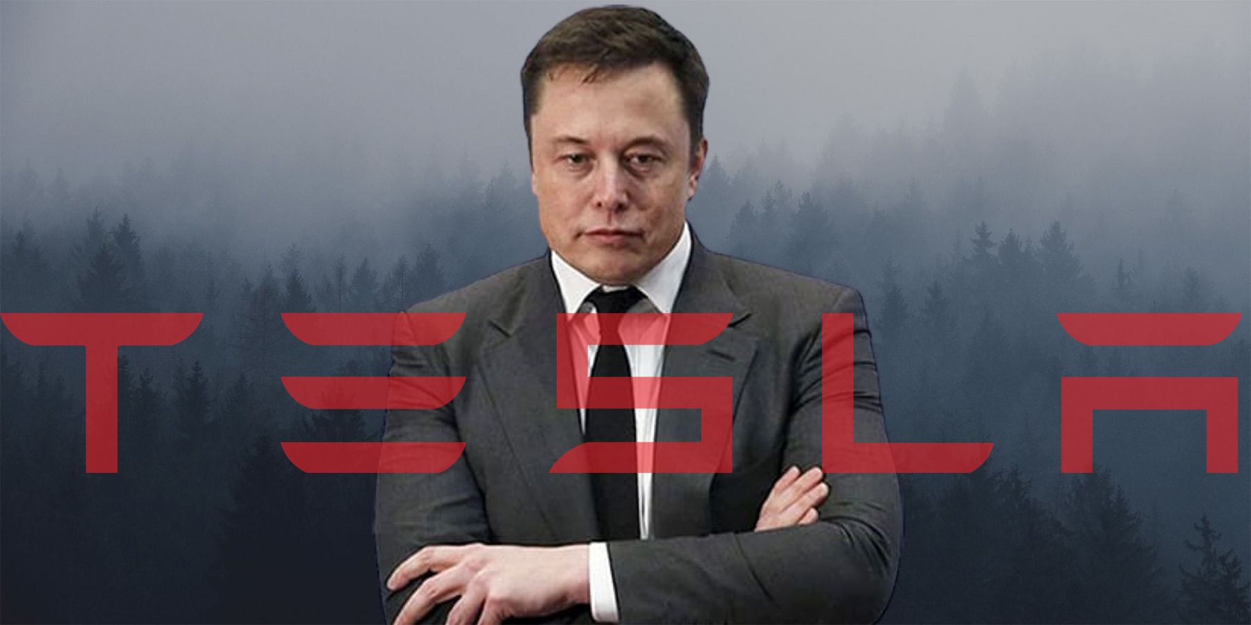 Musk In The Foggy Woods