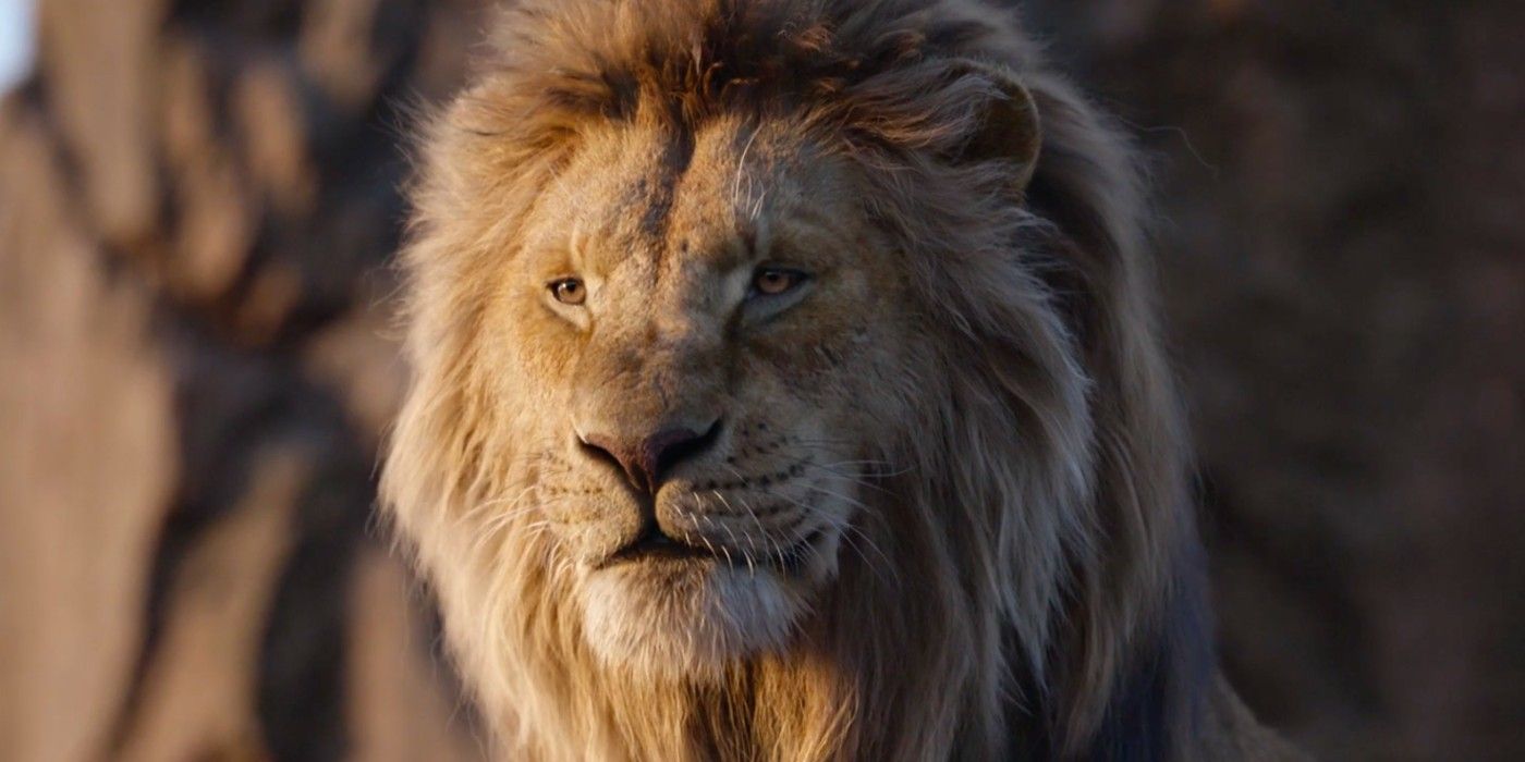 Mufasa in the live-action Lion King