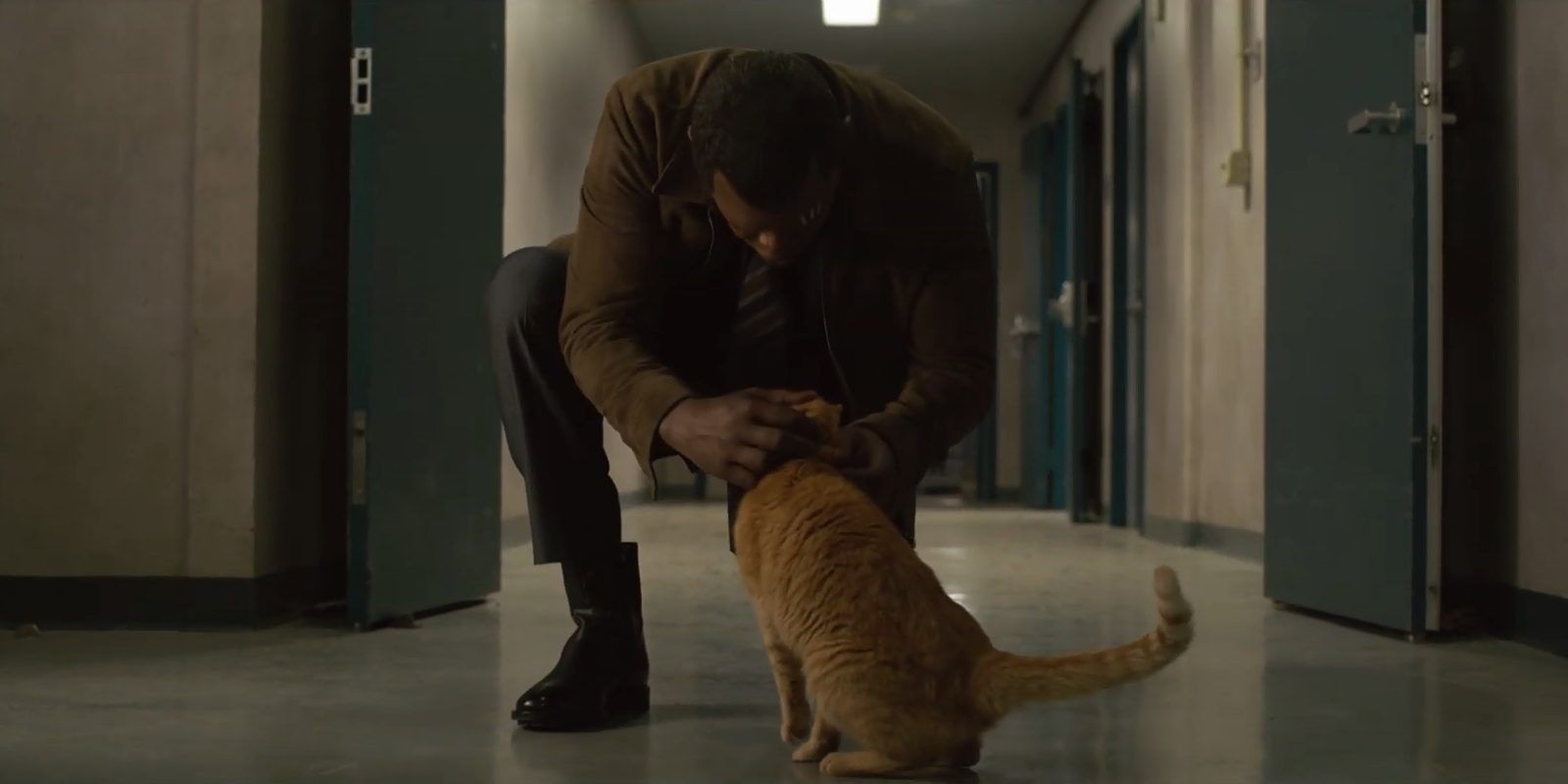 Nick Fury and Goose in Captain Marvel