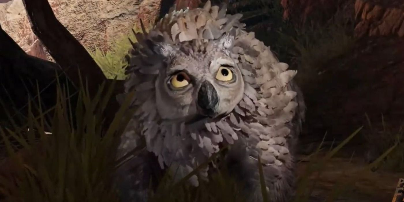 Owlbear Cub Baldur's Gate 3