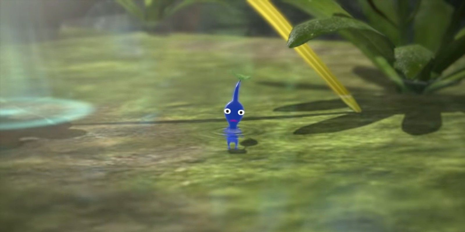 A Blue Pikmin waits in the water to be plucked in Pikmin 3 Deluxe
