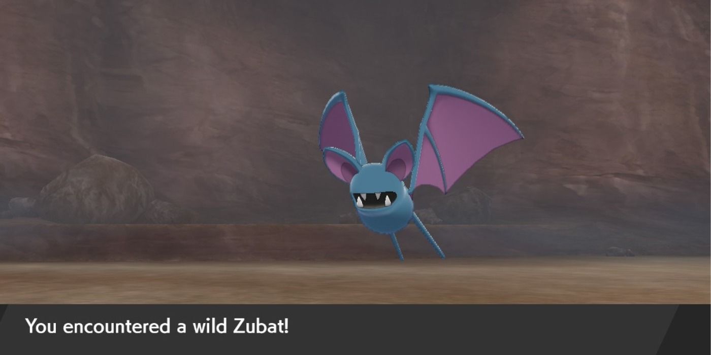 Image from Pokemon Sword and Shield Crown with Tundra Zubat