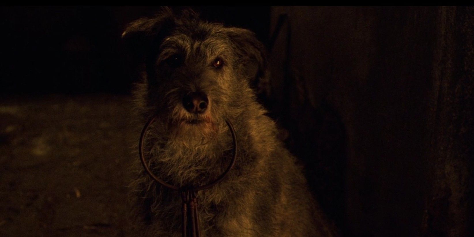 Prison Dog with keys in Pirates of the Caribbean Curse of the Black Pearl