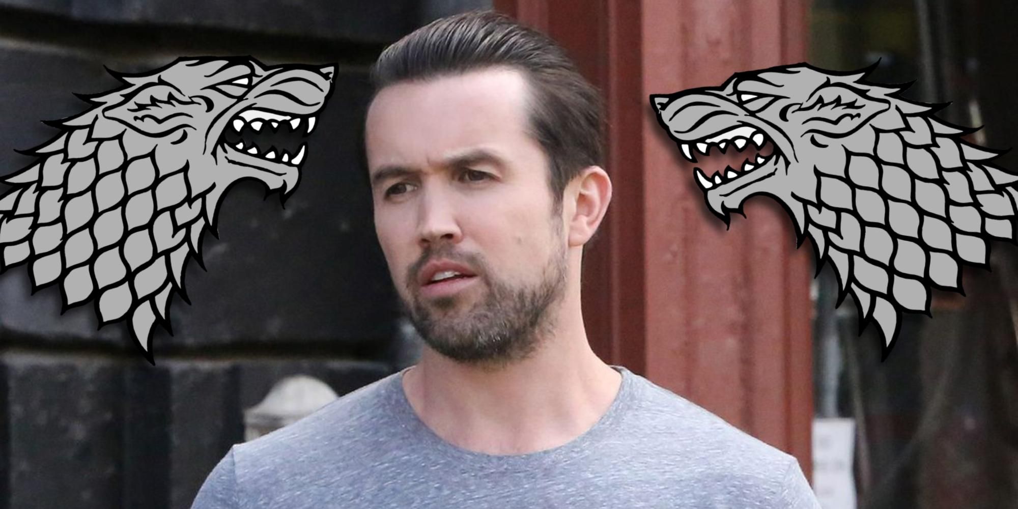 rob mcelhenney law and order