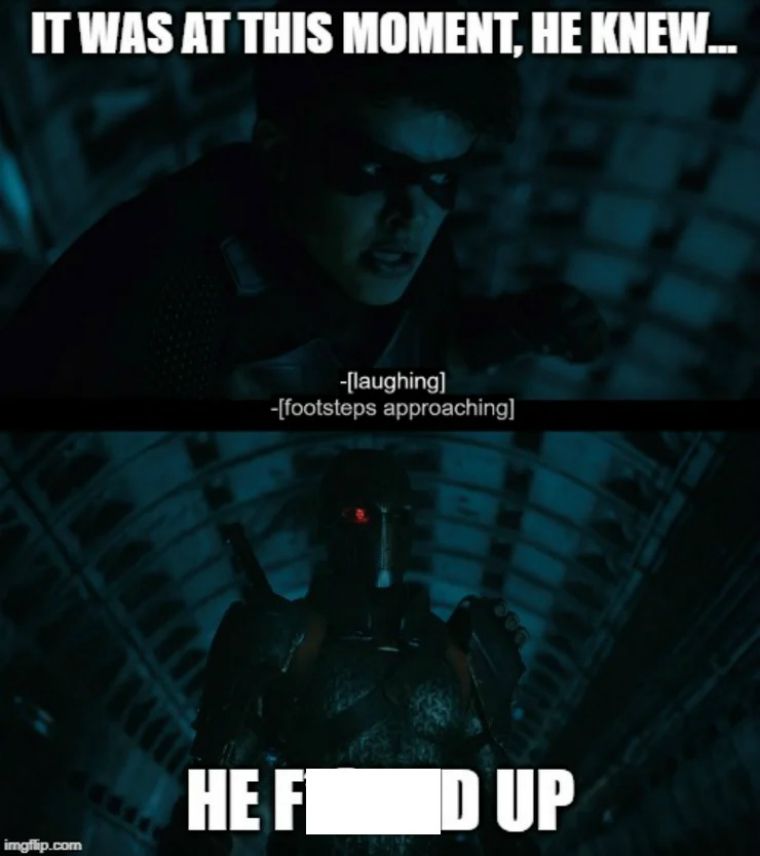 Robin Meme 6