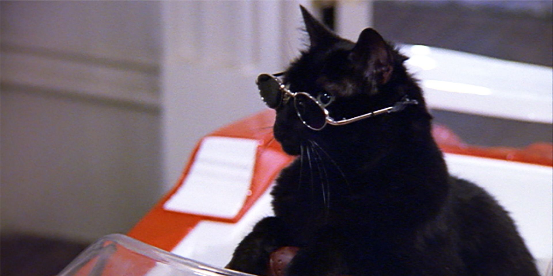 Sabrina The Teenage Witch: 10 Relatable Quotes From Salem