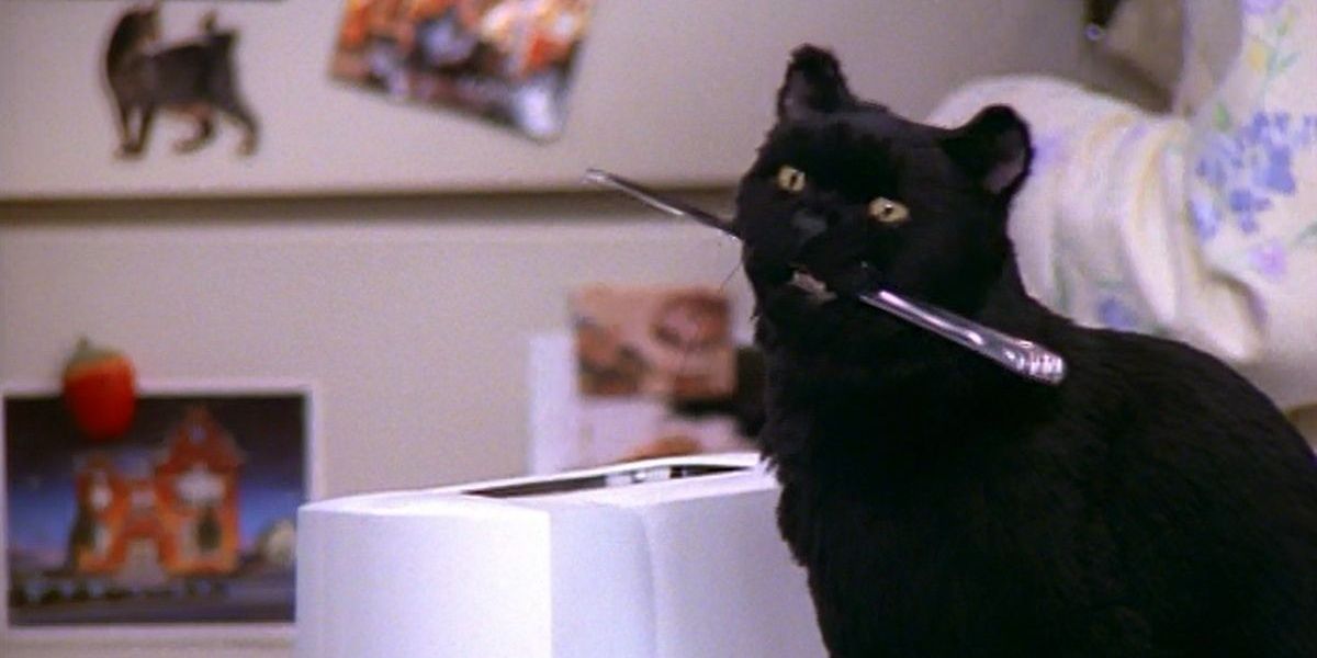 Sabrina The Teenage Witch: 10 Relatable Quotes From Salem