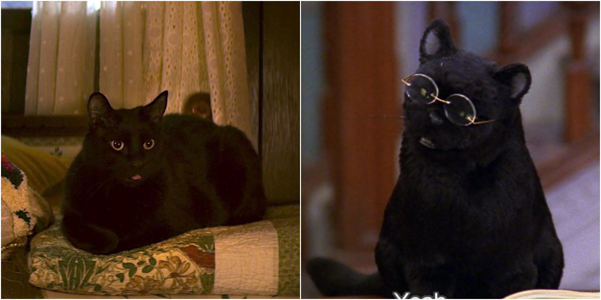 Salem the cat in Chilling Adventures of Sabrina 