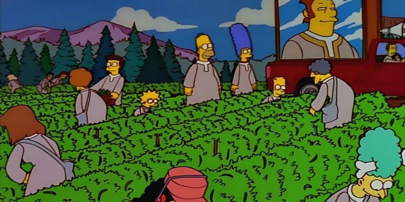 Simpsons - The Joy of Sect