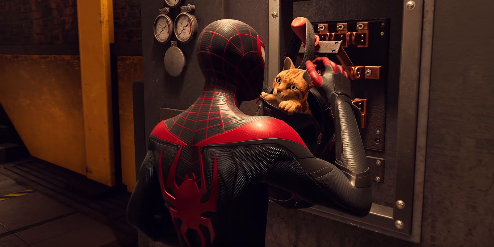 Spider-Man Miles Morales Spider-Cat