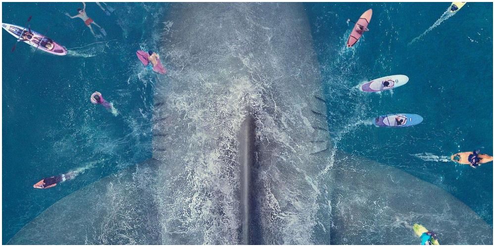 Large shark below surfers