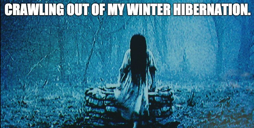 the ring winter meme