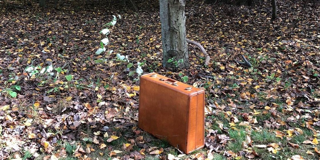 The Blacklist 10 Questions We Hope To Get Answers To In Season 8