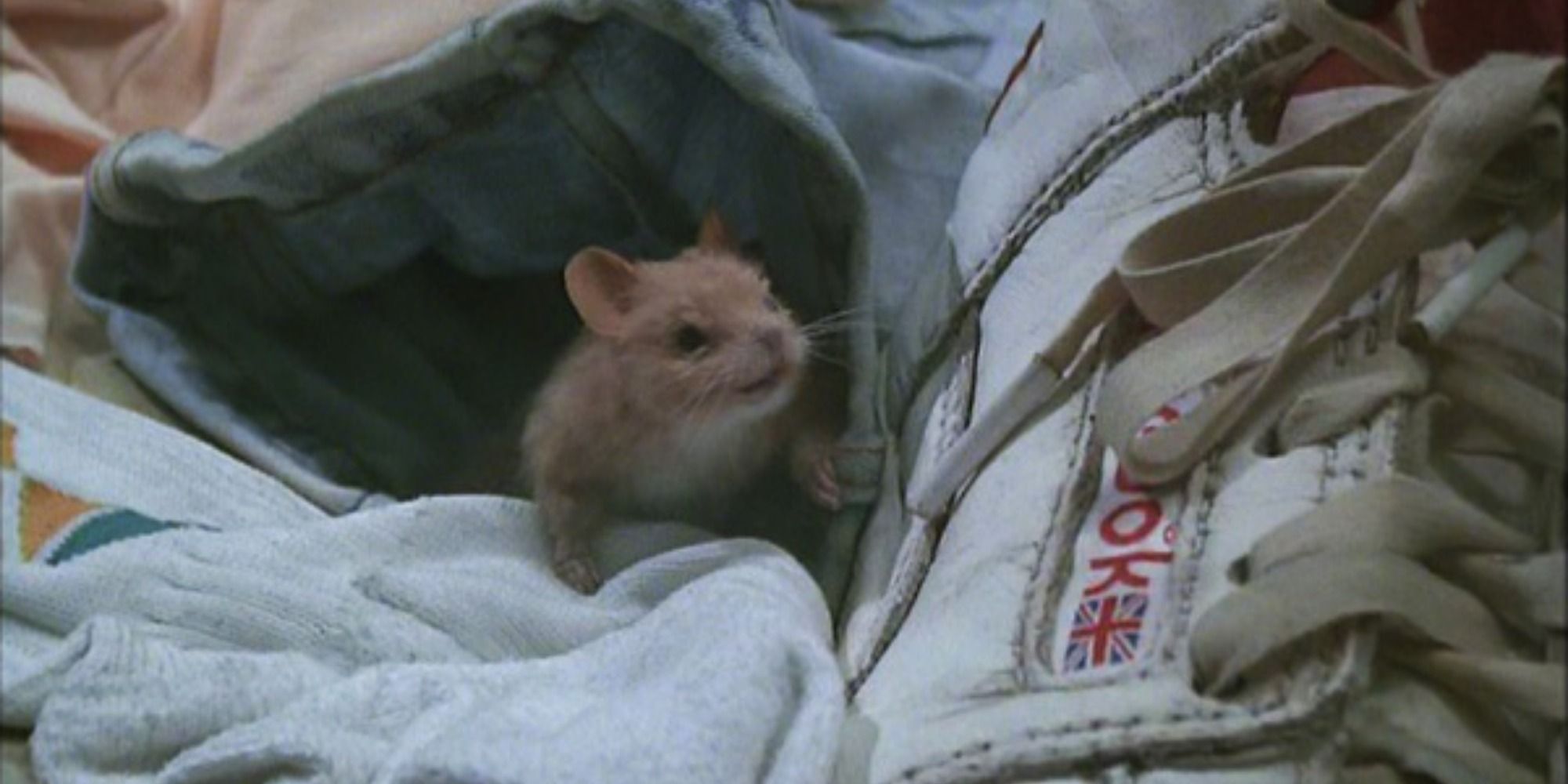 A screenshot of Luke as a mouse emerging from his clothes in The Witches (1990)