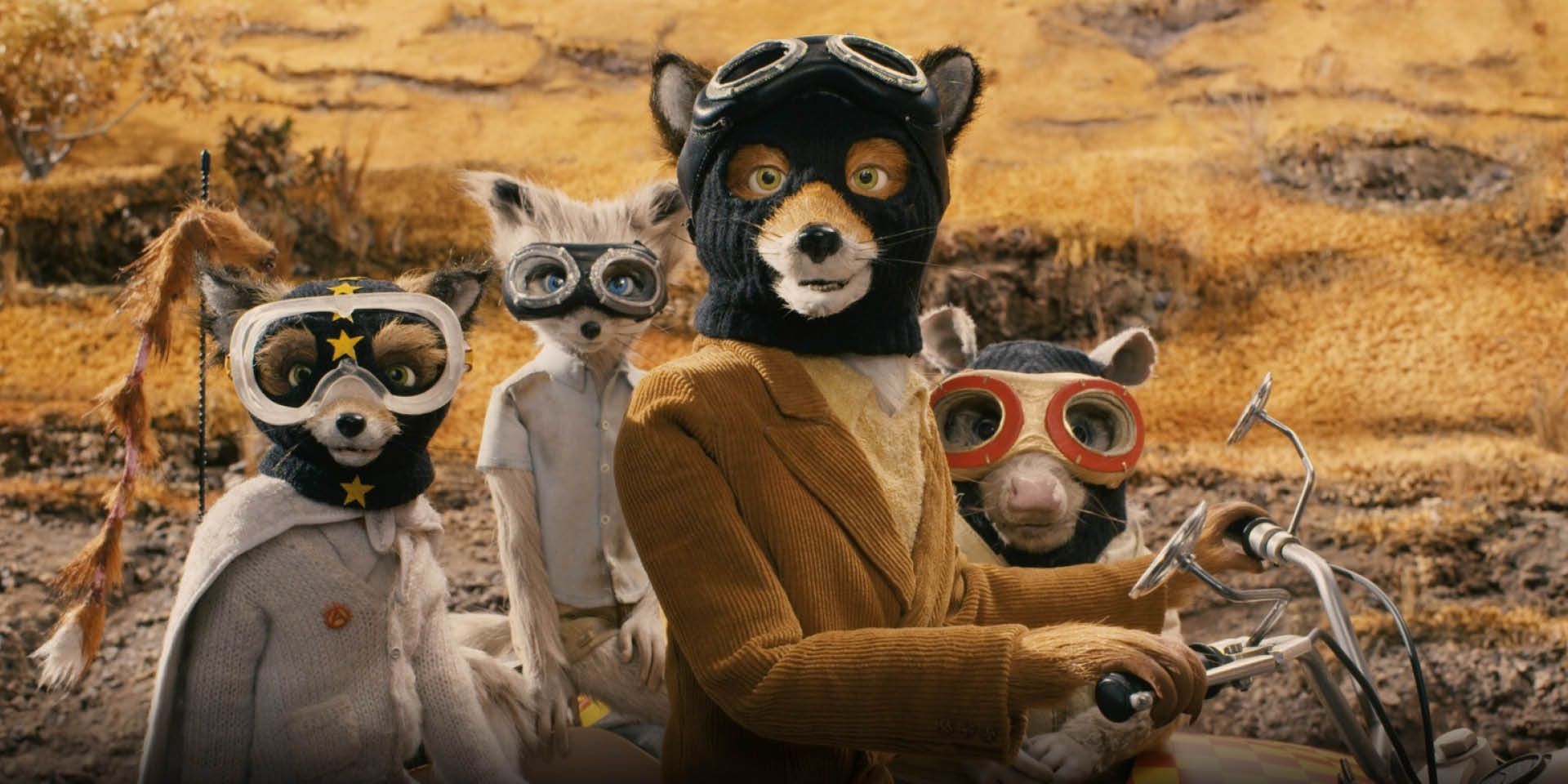 Wes Anderson Brand Surprised 5 Got Into Stop Motion