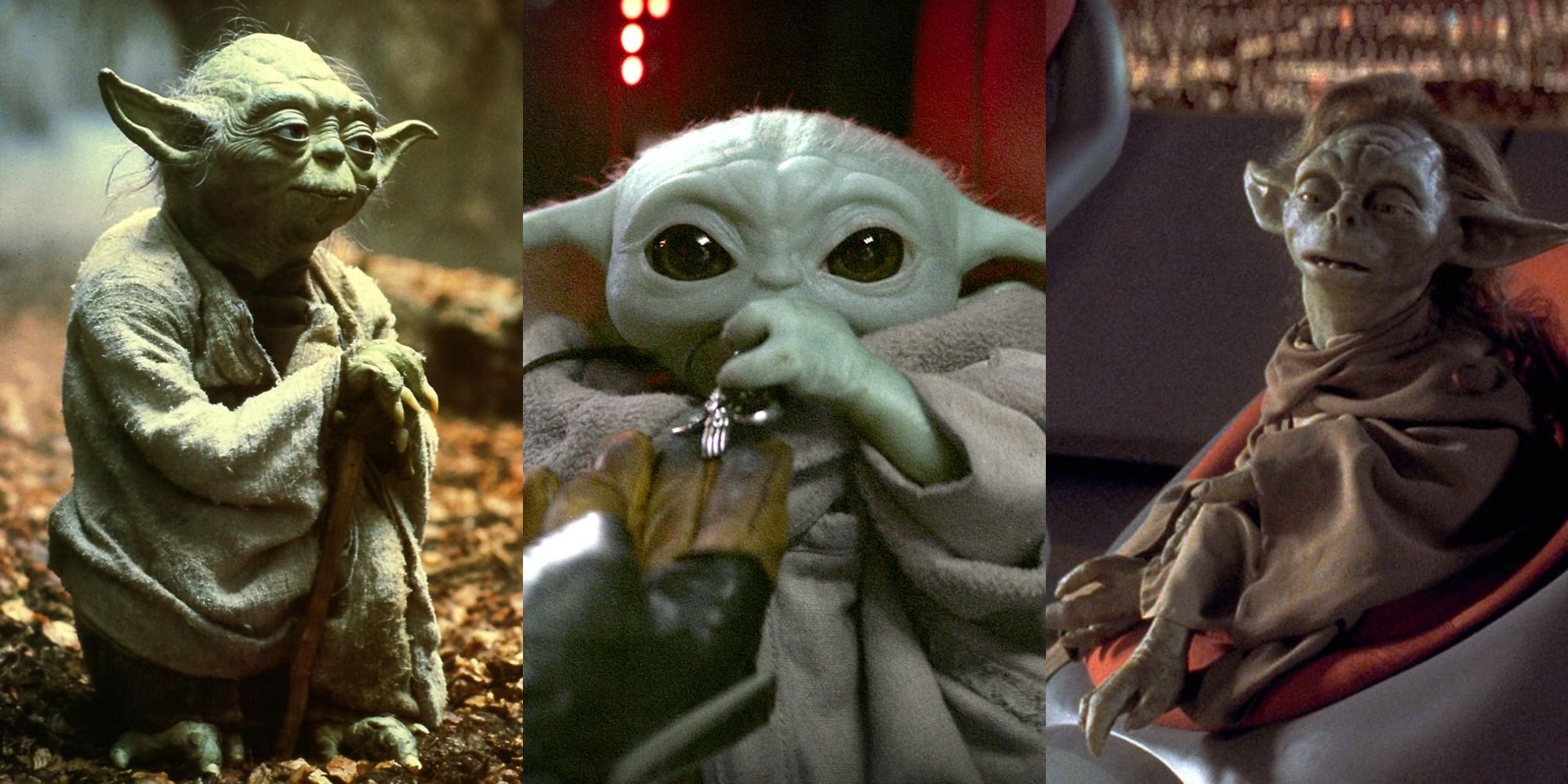 The Mandalorian Fan Theory: Is Yoda The Father of Baby Yoda? - Fortress of  Solitude