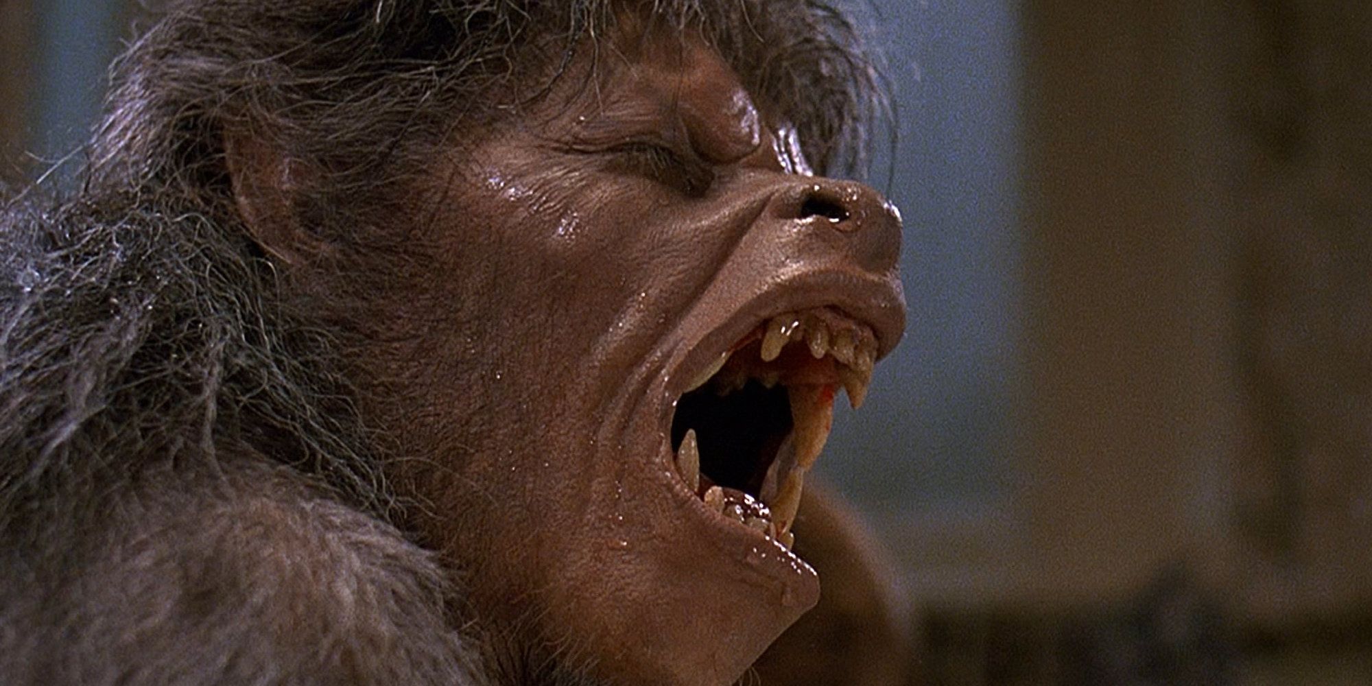 The transformation scene in An American Werewolf in London
