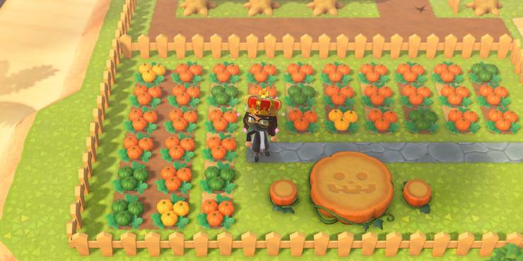 Download Free Every New Pumpkin Diy Recipe In Animal Crossing Screen Rant PSD Mockup Template