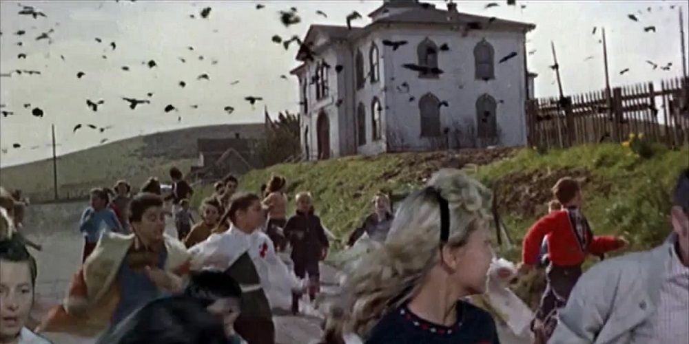 A school attack in The Birds