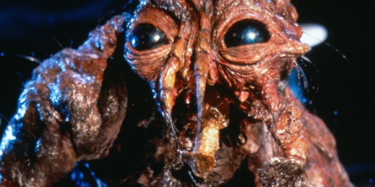 the monster fly