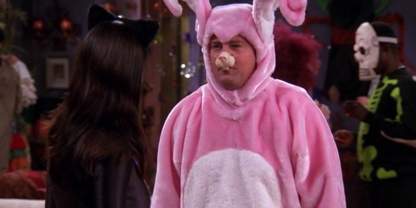 friends chandler bunny costume