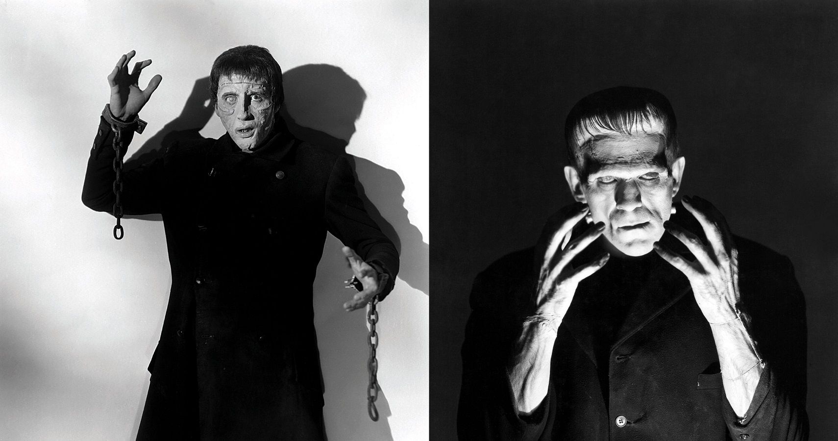 The 10 Best Frankenstein Movies Ranked According To IMDB