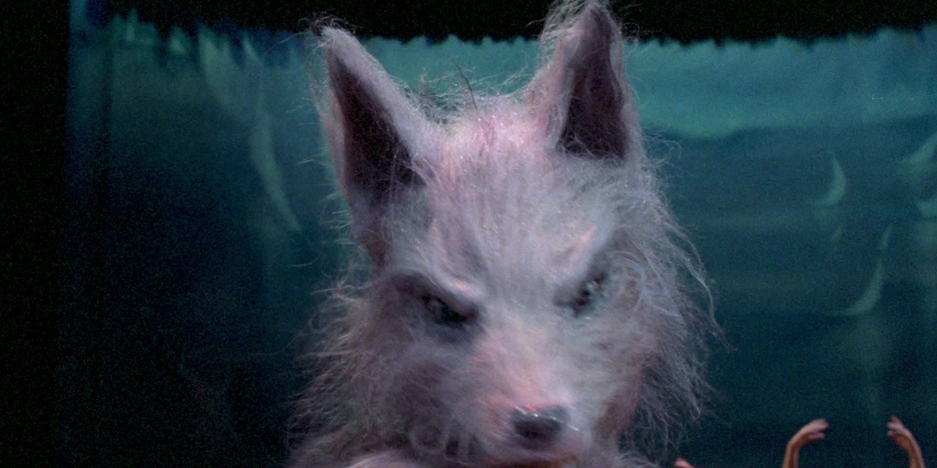 One of the werecreatures in the howling 3