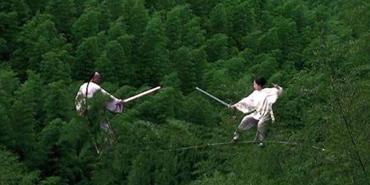 crouching tiger hidden dragon swordfight