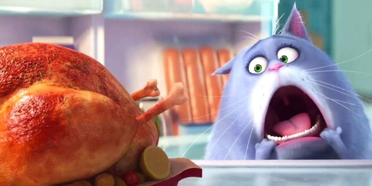 10 Animated Cat Movies For Cat Lovers