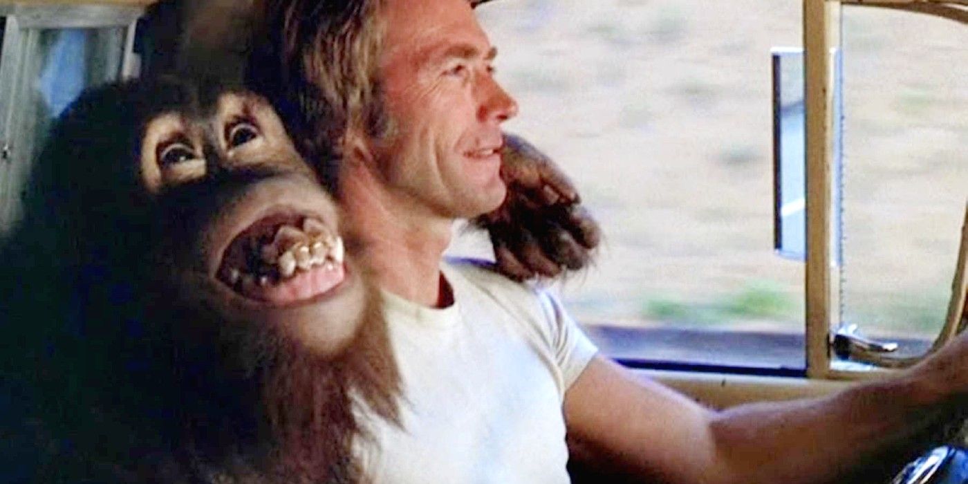 10 Animals Actors Who Deserved Oscar Nominations