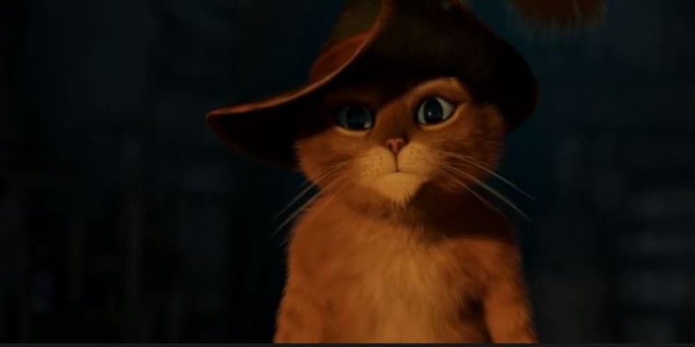 5 Movies To Watch If Youre A Cat Person (& 5 If Youre A Dog Person)