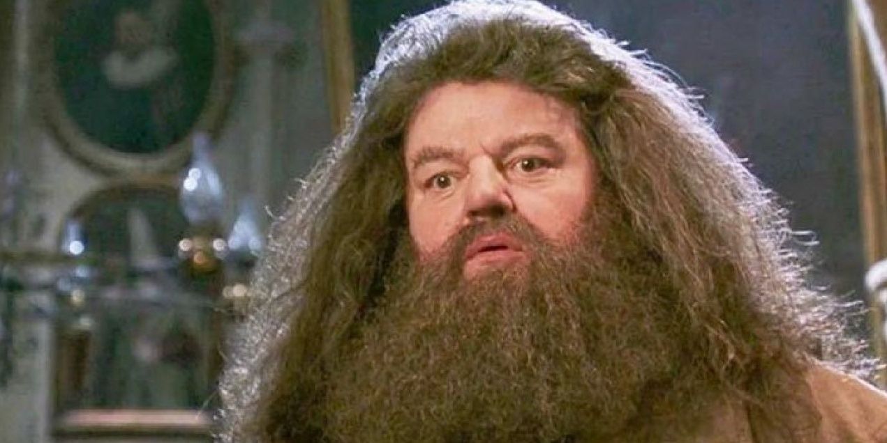 Hagrid looking shocked in Harry Potter
