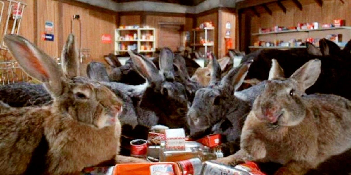 Bunnies in night of the lepus