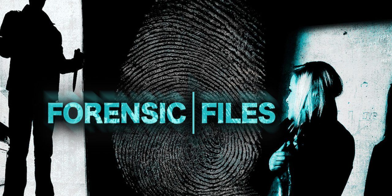20 Best Shows On Netflix To Fall Asleep To