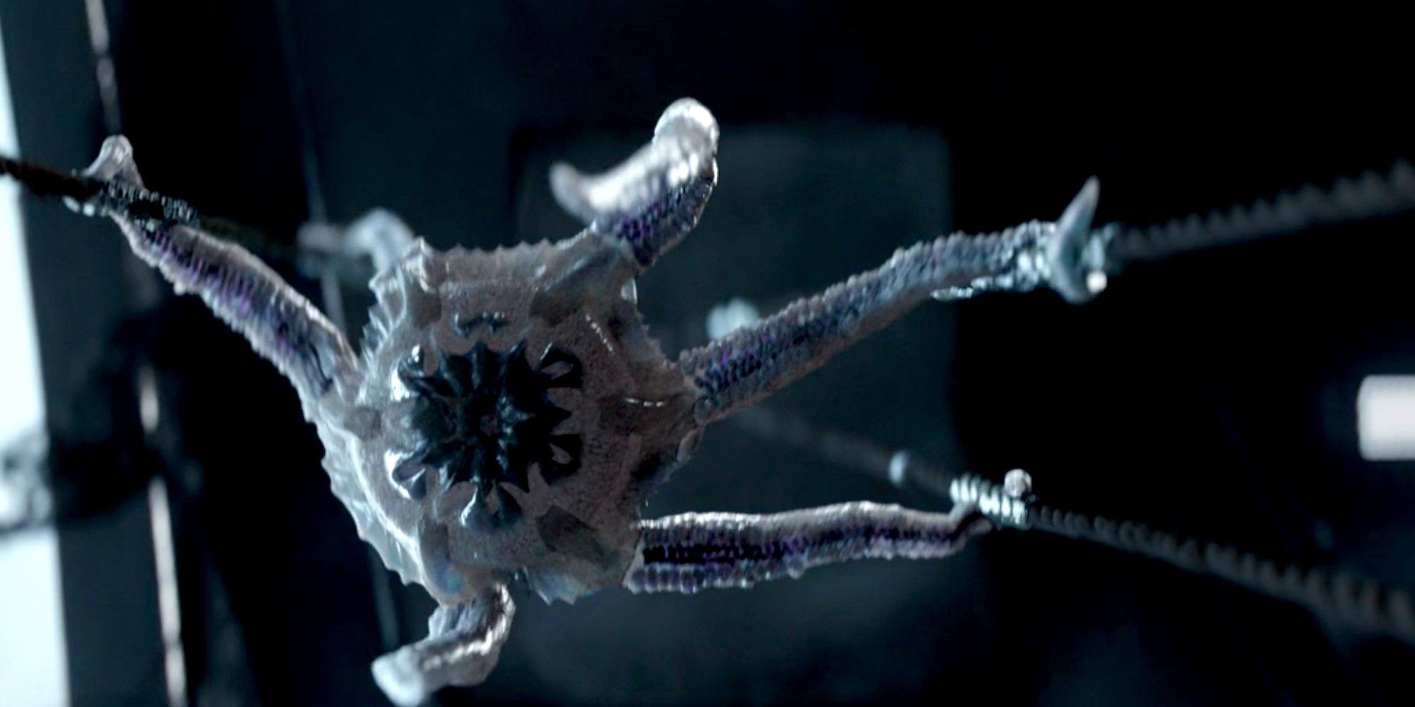 Alien Starfish in The Mandalorian
