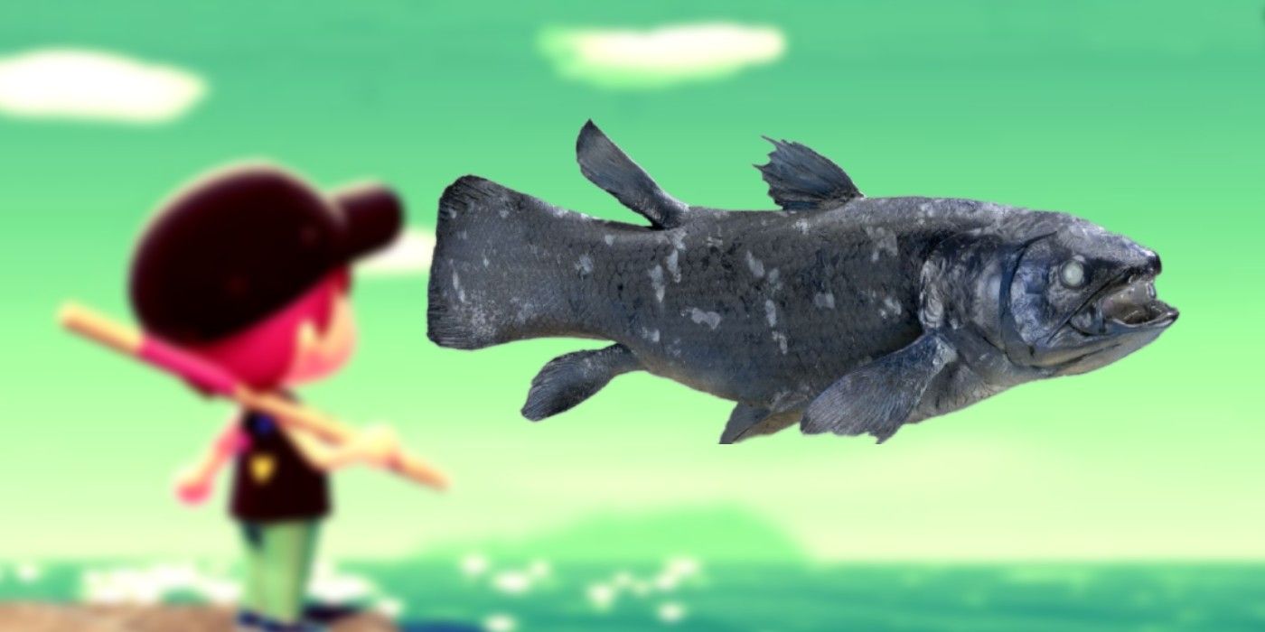 What Animal Crossing's Rarest Fish Look Like In Real Life